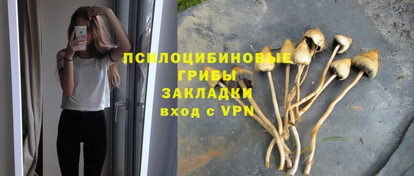 молекула духа Балахна